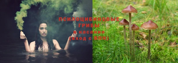 амф Аркадак